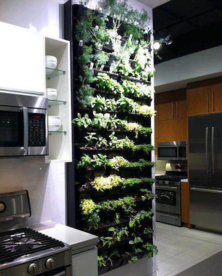 Giardino verticale interno: 25 idee per pareti verdi in casa ... Giardino verticale interno
