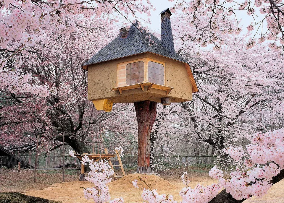 Foto della casa costruita su un albero in Giappone