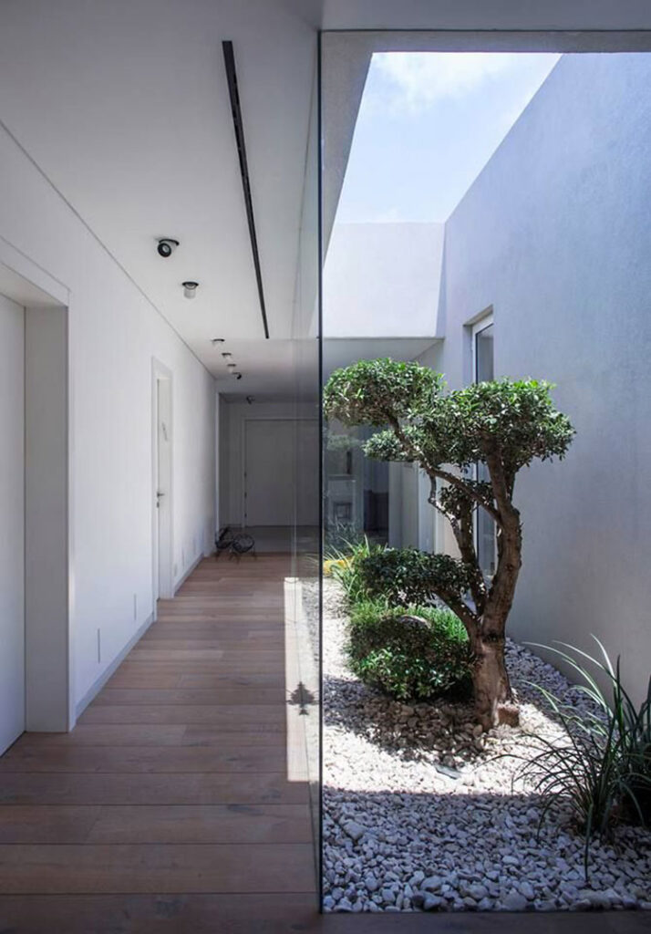 Giardini Interni: 40 Idee per una Casa Più Green | MondoDesign.it