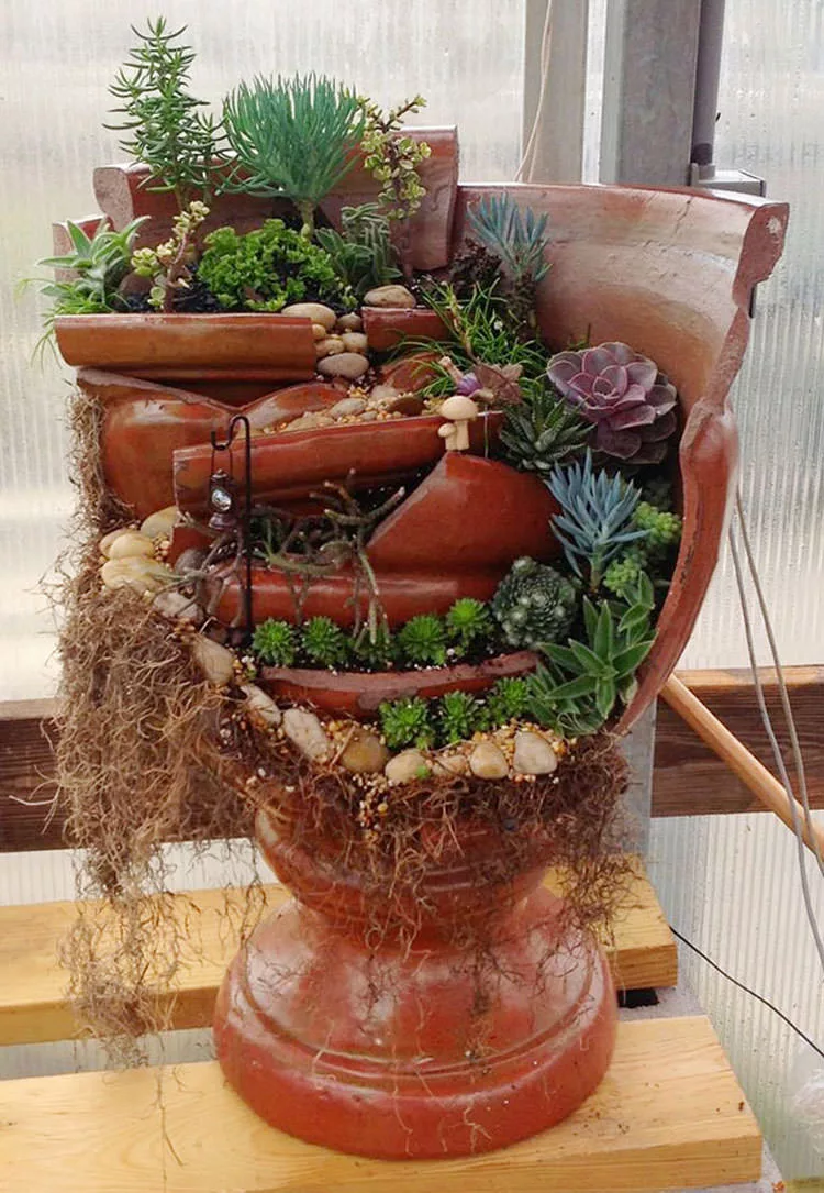Giardino incantato ricavato da un vaso rotto n.10