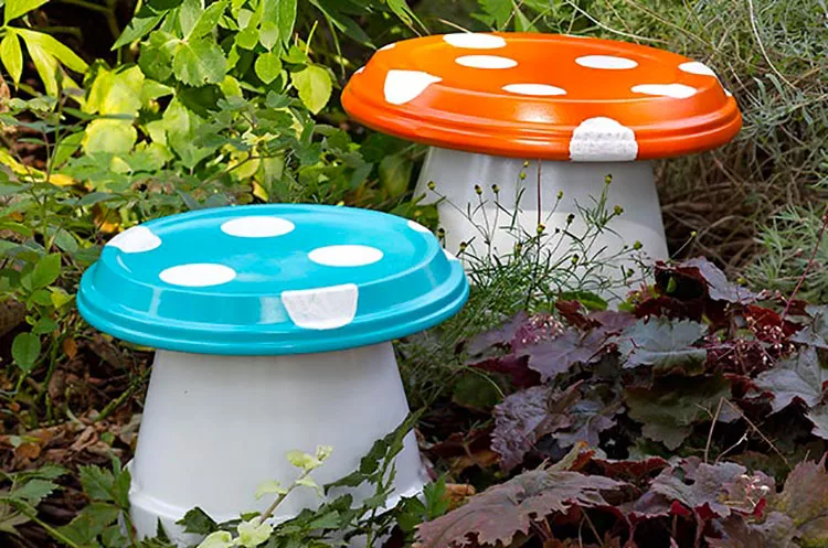 Funghi con vasi di terracotta