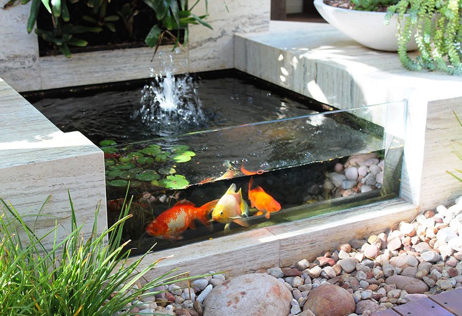 Come creare un laghetto koi in casa o in giardino: 20 idee favolose ... Giardino con laghetto
