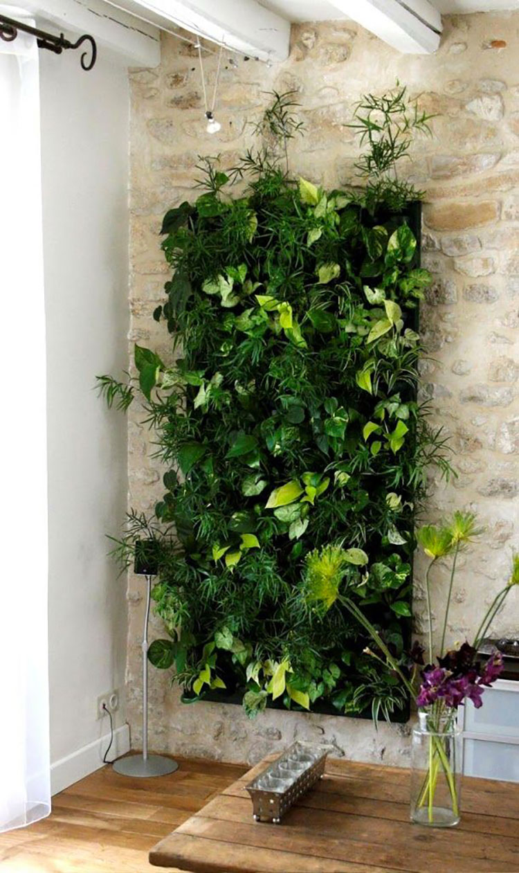 Giardino verticale interno: 25 idee per pareti verdi in casa ... Giardino a parete