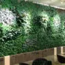 Giardino Verticale Interno: la Suggestione delle Pareti Verdi in Casa