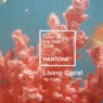 Il Colore Pantone 2019 è Living Coral: Tutto su Palette e Abbinamenti