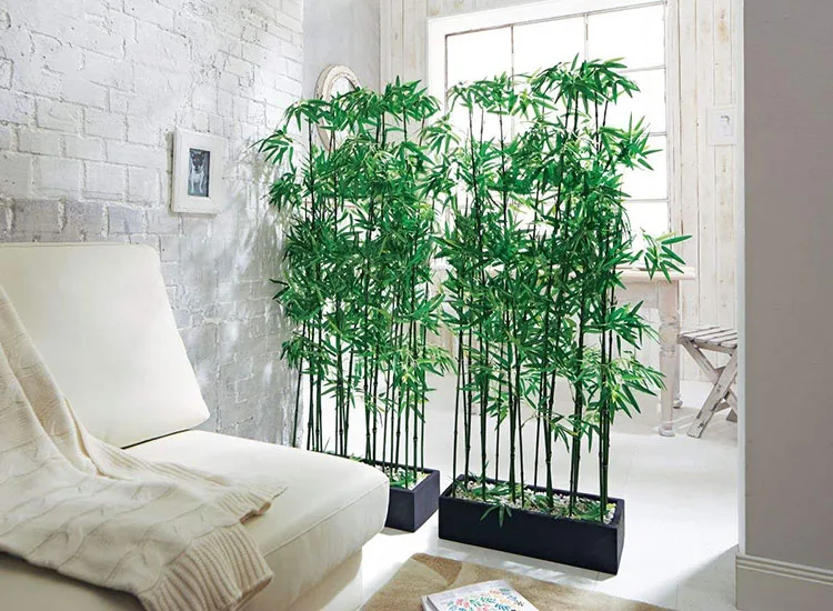 Idee per dividere una stanza in modo economico con le piante n.02