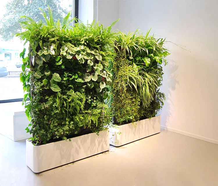 Idee per dividere una stanza in modo economico con le piante n.03