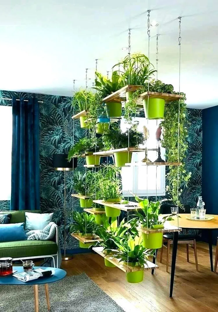 Idee per dividere una stanza in modo economico con le piante n.04