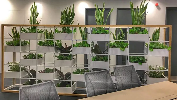 Idee per dividere una stanza in modo economico con le piante n.05