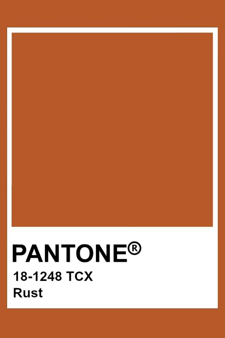 Color Ruggine Scuro Colore Ruggine: Idee per Abbinamenti, Pareti e Arredi | MondoDesign.it