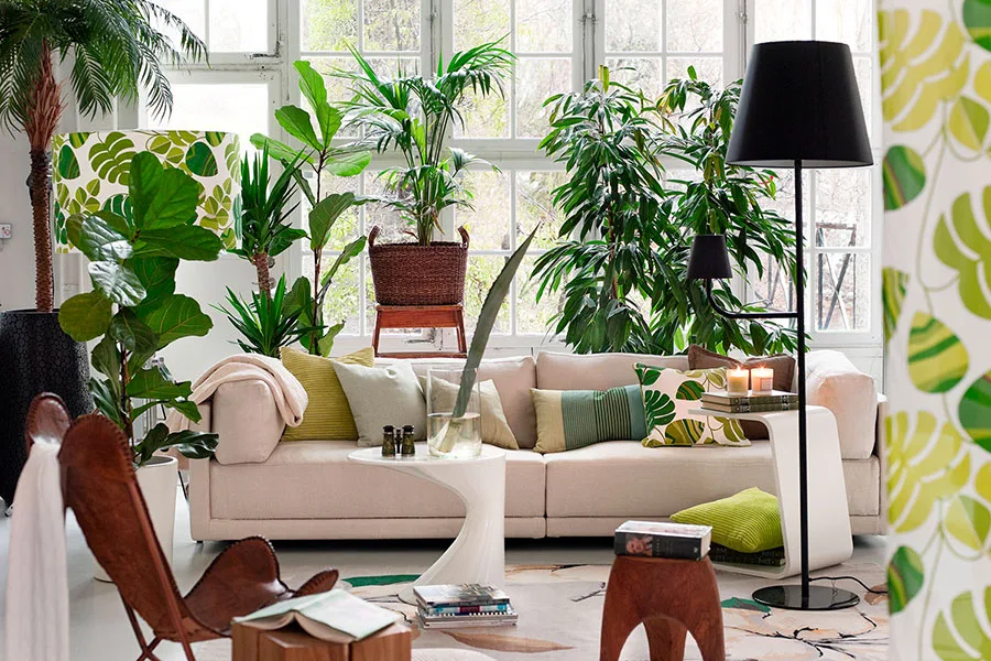 Come arredare il soggiorno con piante da interno