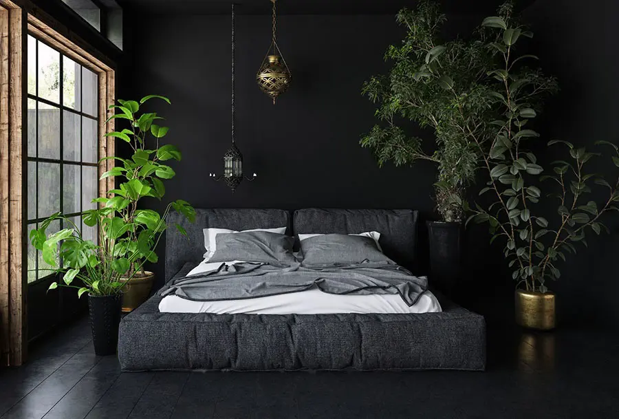 Idee per arredare la camera da letto con le piante n.04