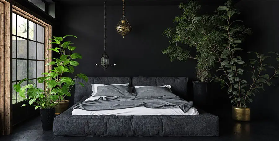 Idee piante per camera da letto