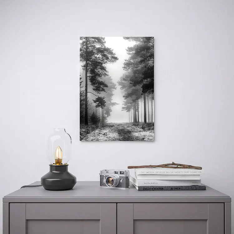Idee per quadro in bianco e nero Ikea n.02