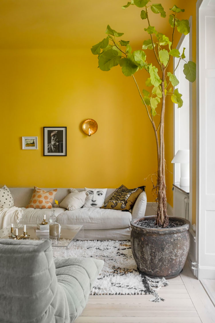 Colore caldo giallo per pareti del soggiorno n.03