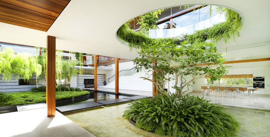 Idee giardini interni casa