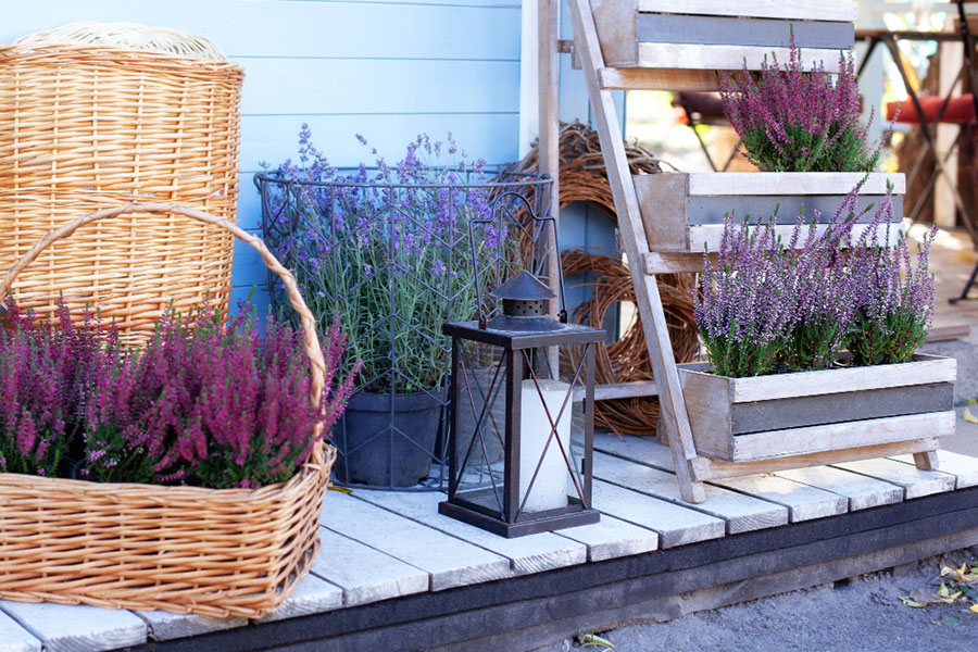 Piante aromatiche per arredare il terrazzo